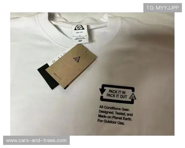 乐鱼网站登录页面优化上线，界面更加简洁友好，操作更加便捷快速