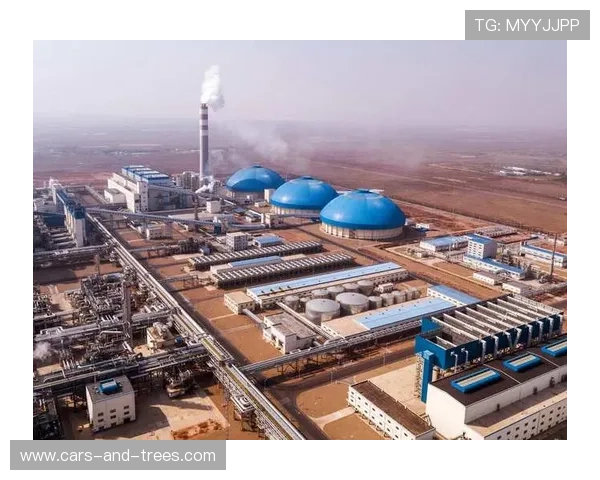 开云体育官网中国:开云体育平台的多元化体育项目与丰富赛事资源介绍