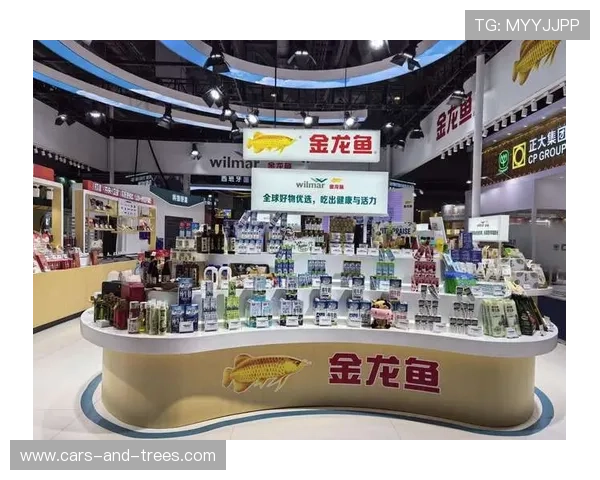 博鱼体育官方网站入口安全可靠，确保用户账号信息和资金安全的详细操作流程