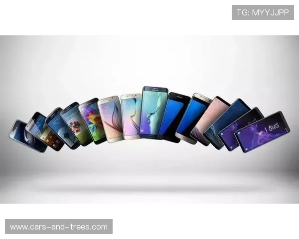 星空体育网站信誉好，用户真实体验分享与评价分析