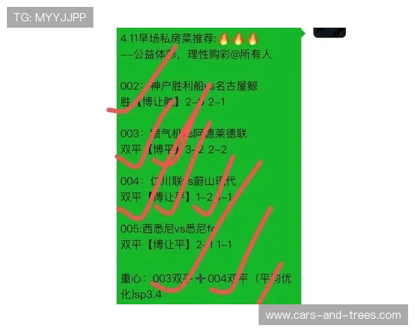 环球体育为体育爱好者提供的专业赛事评论与深度分析内容介绍