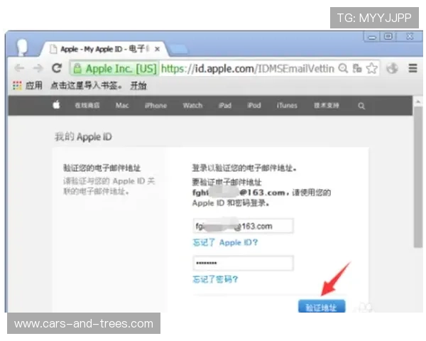 D3顶盛体育全站登录遇到验证码问题怎么办，详细解决方案推荐
