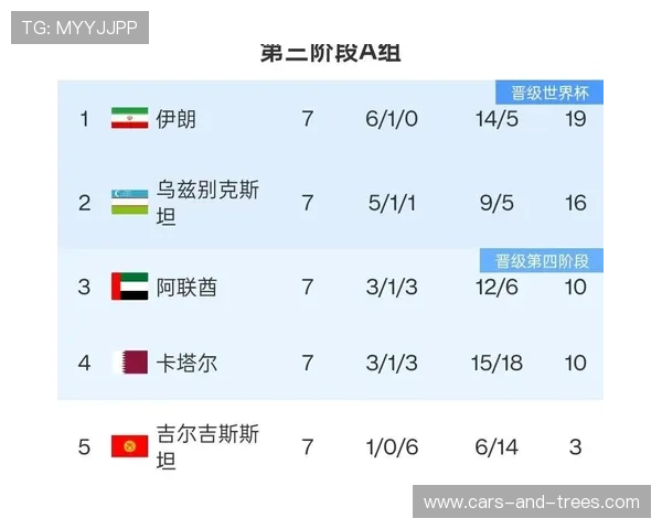 世界杯伊朗对新西兰比赛数据表完整版,涵盖控球率、射门数等核心指标