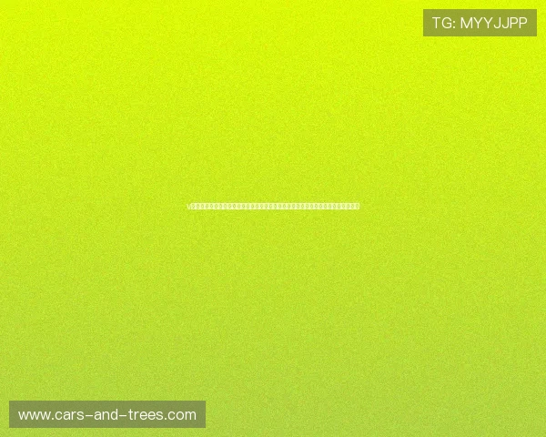 v站体育官网电脑版官方推出世界杯专题内容，丰富赛事资讯满足不同用户的观看需求